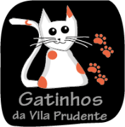 Gatinhos da Vila Prudente