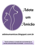 Adote um AmiCão