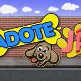 Ong Adote Já Mogi