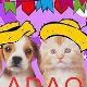 ADAO - Associação Defensora dos Animais de Ourinhos