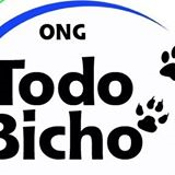 Ong Todo Bicho