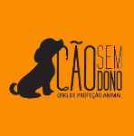 CÃO SEM DONO