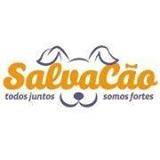 Projeto SalvaCão