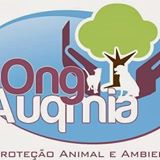  Auqmia - Proteção Animal e Ambiental