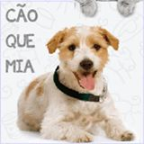 Cão que Mia Franca-SP