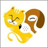 Animais perdidos - Votuporanga