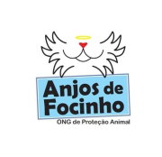 Anjos de Focinho