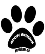 Adote Animais Vira-latas de Marilia