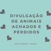 Divulgação de Animais Achados e Perdidos