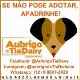Aubrigo da Tia Dany