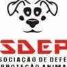 Animais Da Asdepa Belém PA