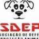 Animais Da Asdepa Belém PA