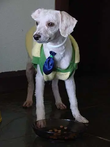 DEPOIS de 1 Toza/Banho aprox. R$5,00